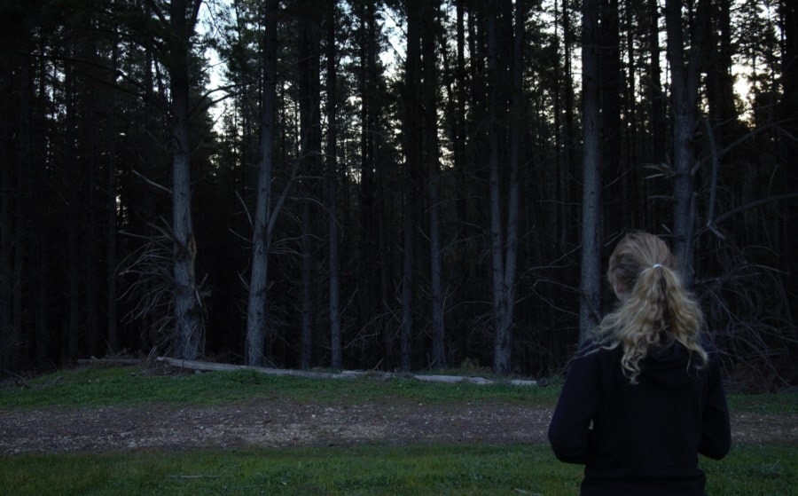 Lady in bottom right looking towards a dense forest.