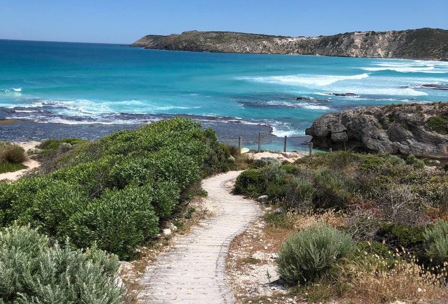 Winding wooden plank path in centre of image flanked by bushes, with view of the blue ocean and hills in the background.