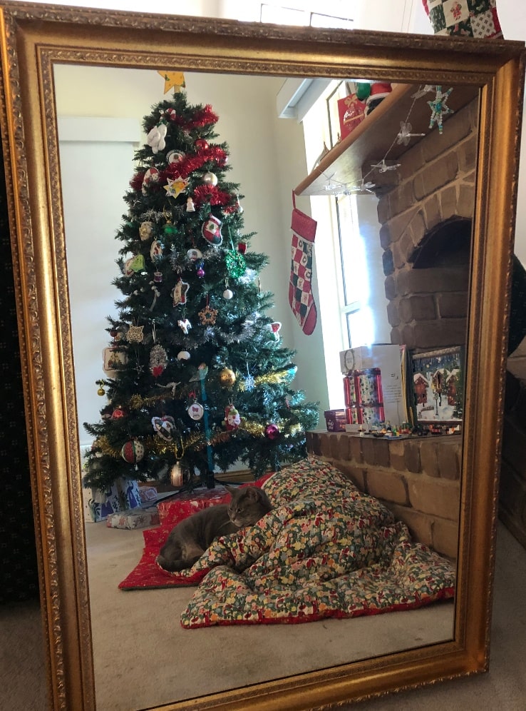 A gold-edged mirror reflecting a decorated Christmas tree, and a silver tabby sitting on a full Christmas stocking.