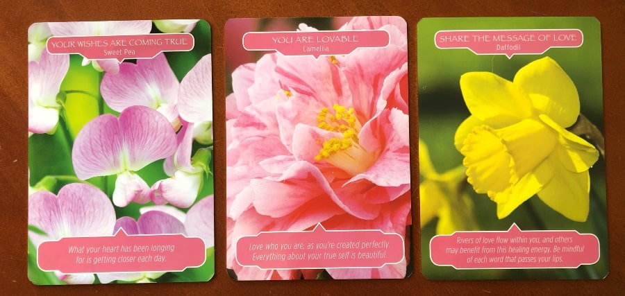 Three flower therapy oracle cards, first card shows a sweet pea and text that says, "Your wishes are coming true" up the top, then down the bottom says, "what your heart has been longing for is getting closer each day." Middle card depicts a pink camellia flower and says, "You are lovable," and down the bottom says, "Love who you are, as you're created perfectly. Everything about your true self is beautiful." Card on the right depicts a yellow daffodil and says, "Share the message of love," and down the bottom says, "Rivers of love flow within you, and others may benefit from this healing energy. Be mindful of each word that passes your lips."