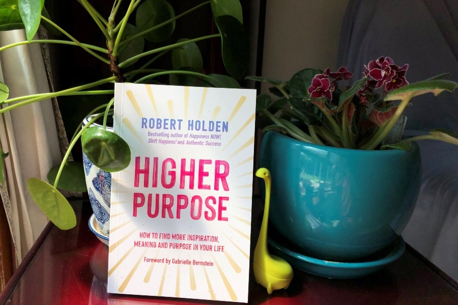 Robert Holden's book Higher Purpose propped up against a pot plant, with an African violet in a turquoise blue ceramic round pot next to it, and in between those, a baby nessie tea strainer resembling the Loch Ness monster.