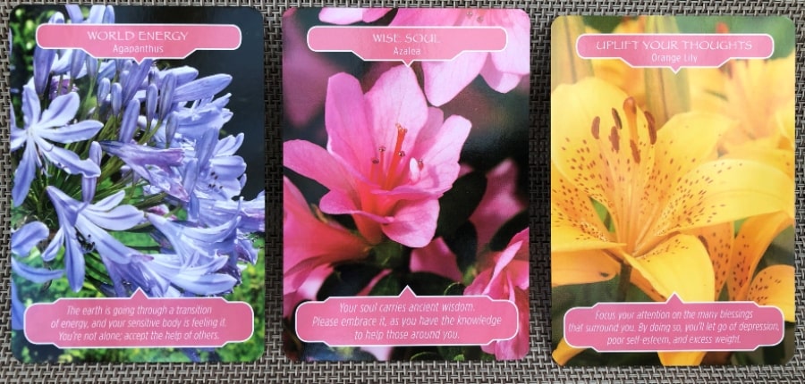 Three oracle cards, from left to right, Agapanthus "world energy" text says, "the earth is going through a transition, and your sensitive body is feeling it. You're not alone; accept the help of others." The middle card is a pink azalea, "wise soul", text says, "Your soul carries ancient wisdom. Please embrace it, as you have the knowledge to help those around you." The third card is the orange lily, "uplift your thoughts", text says, "focus your attention on the many blessings that surround you. By doing so, you'll let go of depression, poor self-esteem and excess weight."