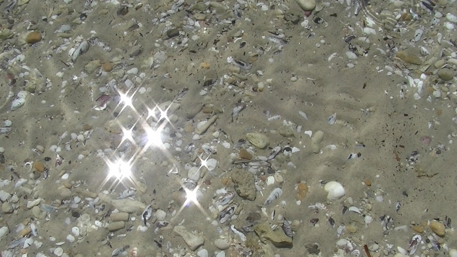 Shallow sea water with white sparkles of light reflecting off the rippled surface.